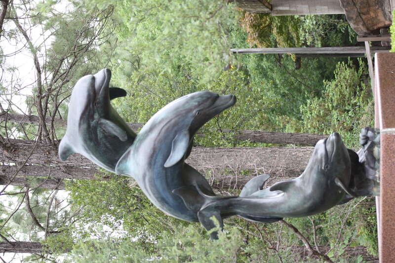 Oklahoma City Zoo 5/26/2014