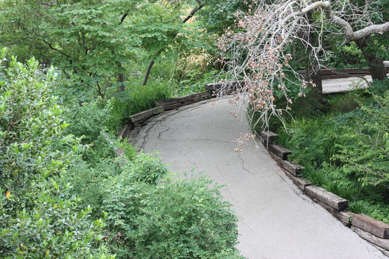 Oklahoma City Zoo 5/26/2014