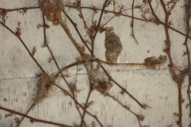 Oklahoma City Zoo 5/26/2014