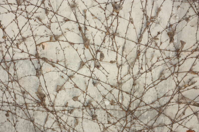 Oklahoma City Zoo 5/26/2014