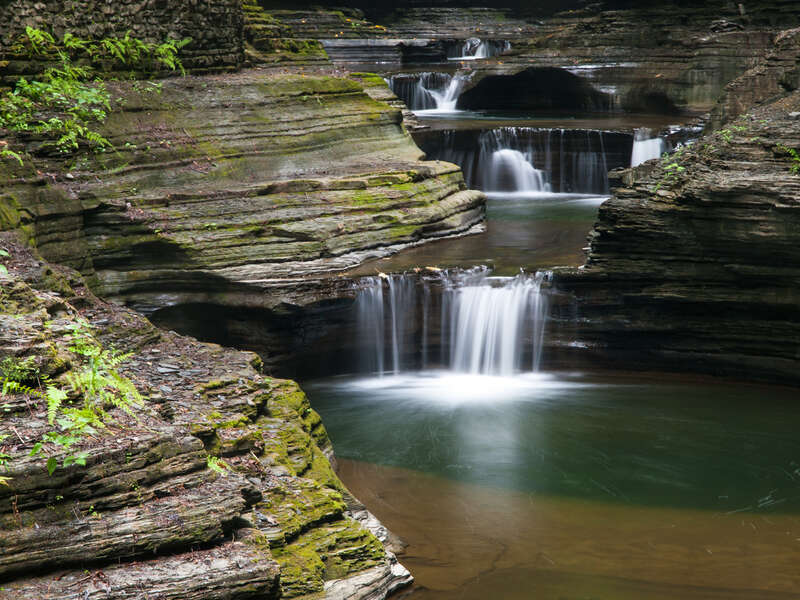 Photographed in Watkins Glen, NY.


Credit: Lamar Gore/USFWS