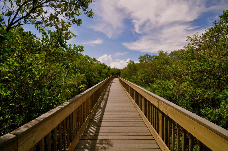 Weedon Island preserve