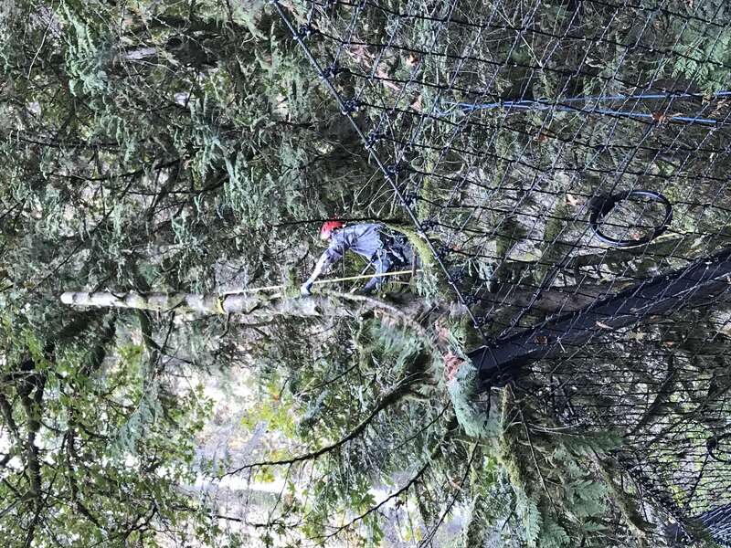 You can also see some of the new fencing that was constructed post-fire in order to protect visitors as well as the historic Multnomah Falls Lodge from rockfall.