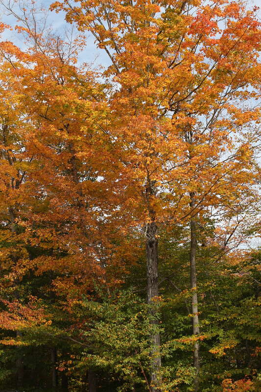 Arethusa Falls Rd, Hart's Location, New Hampshire, United States