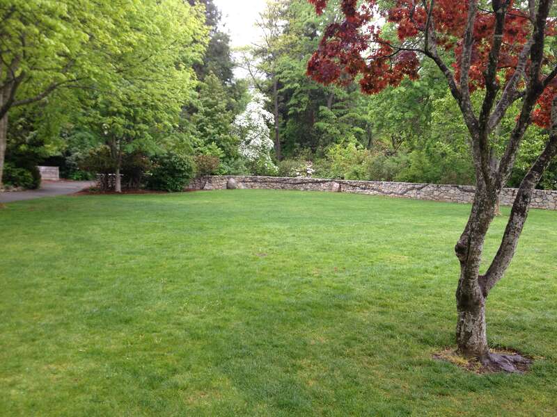 Lithia Park in the Spring