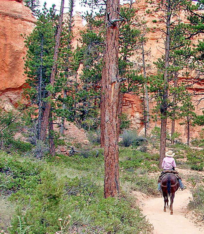 (1 in a multiple picture album)
This young lady is enjoying the beauty and quiet at the bottom of the canyon.  She leads a group of riders several times a day.  I noticed that she would sometime get a distance away from us when the trail was not