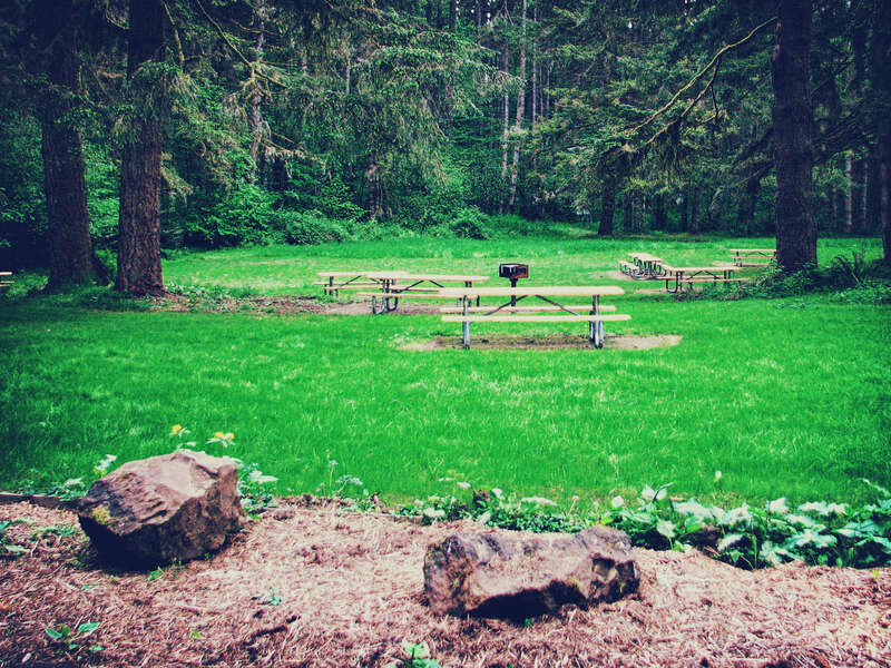 Seaquest State Park, WA