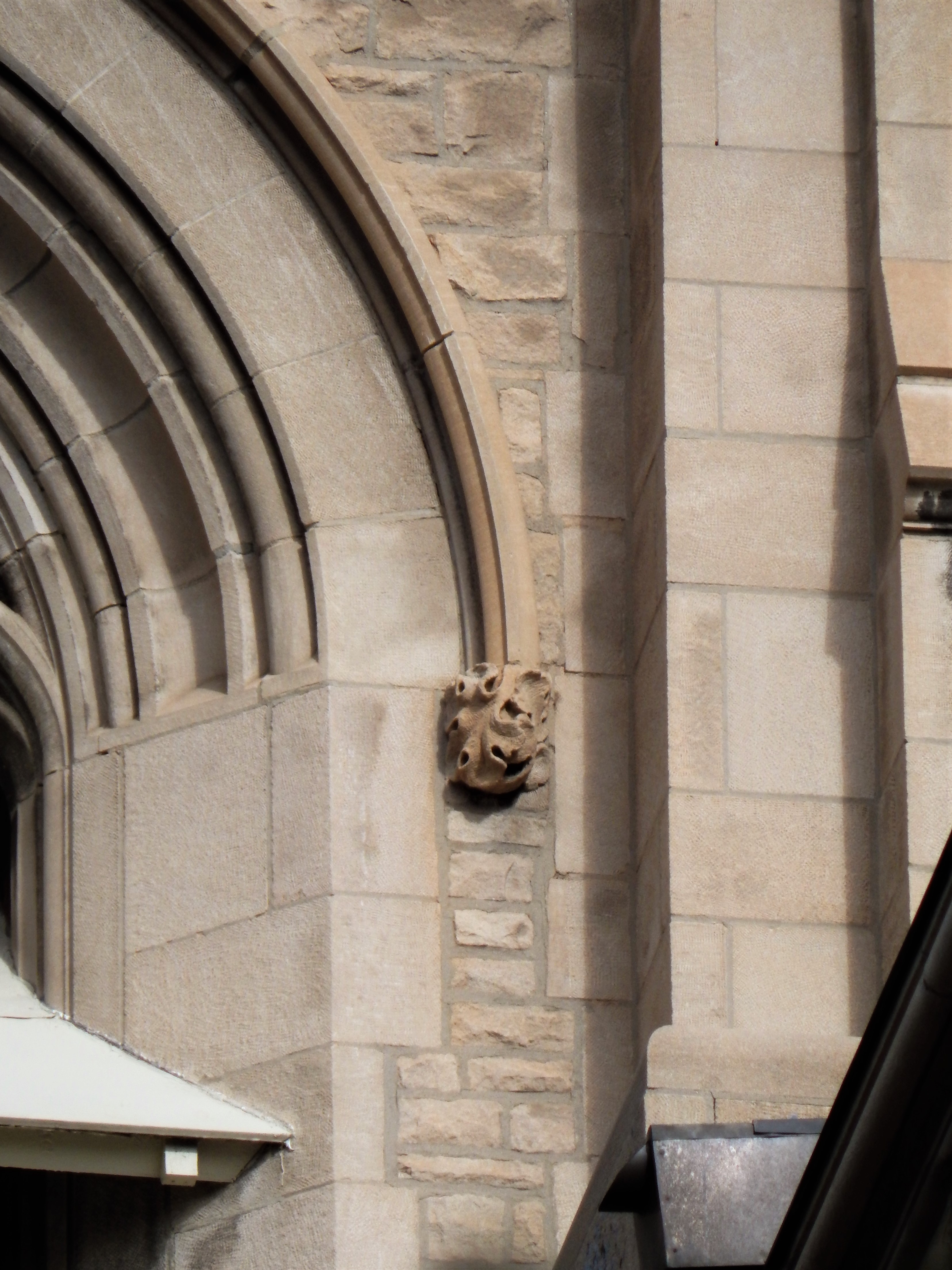 An acanthus &quot;label-stop&quot; on the hood-mould of the belfry opening--a detail of the architectural richness of the bell tower, one hundred feet above the ground.