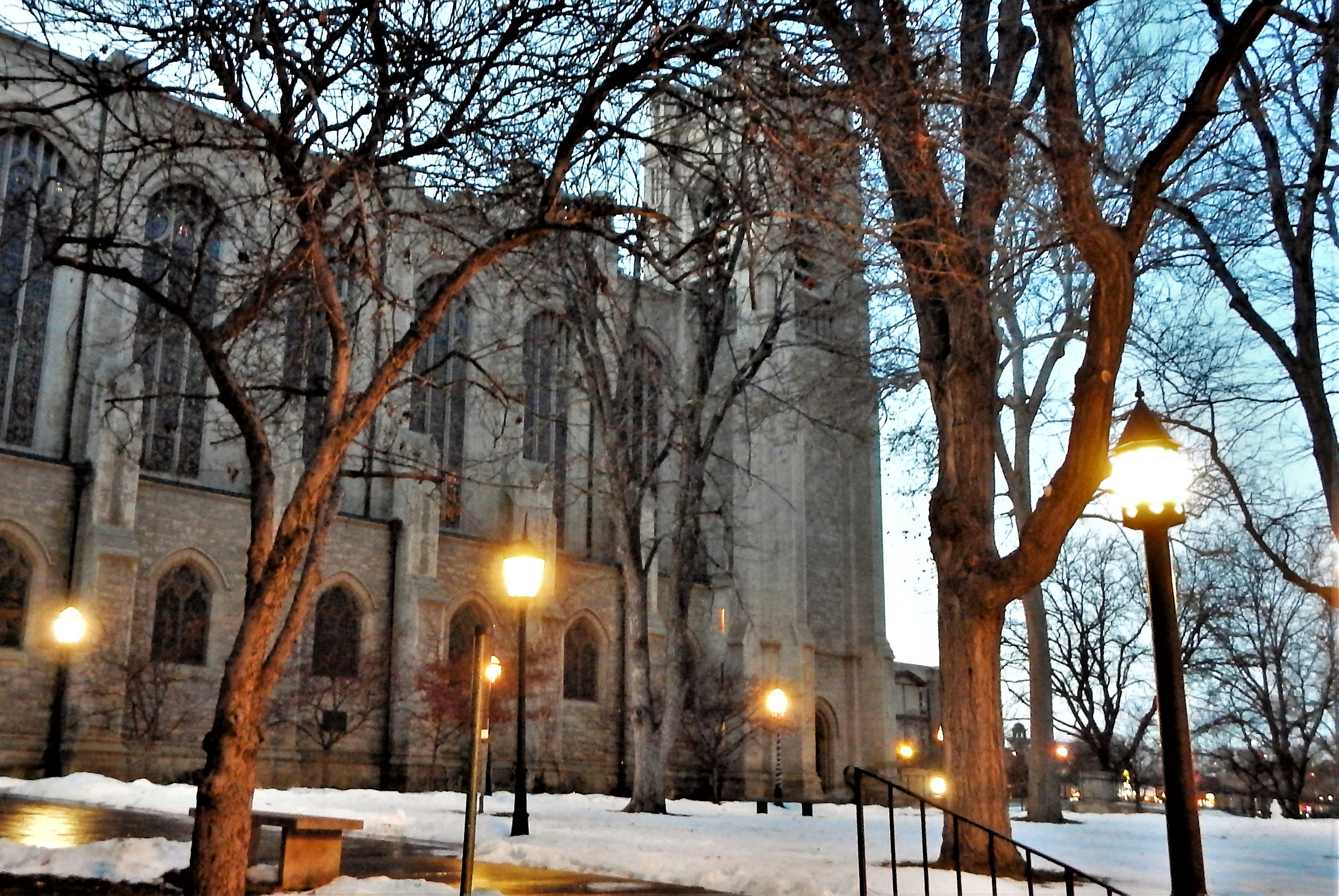 A view of the east side of the Cathedral as evening falls, after the Service of Lessons and Carols for the First Sunday of Advent.