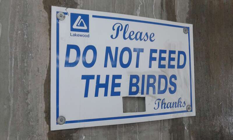 Do Not Feed the Birds sign in S Allison Pkwy garage
