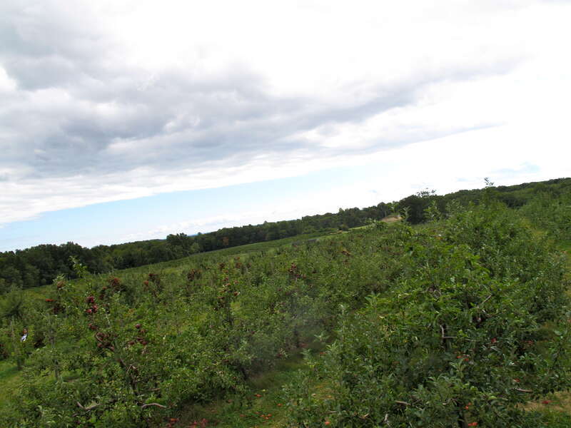 en:Bishop's Orchards