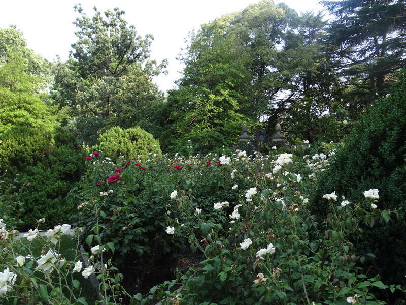 Dumbarton Oaks - Georgetown - Washington DC {juli 2012}