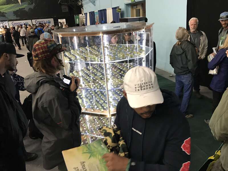 2016 Emerald Cup, Sonoma County Fairgrounds in Santa Rosa, California, United States