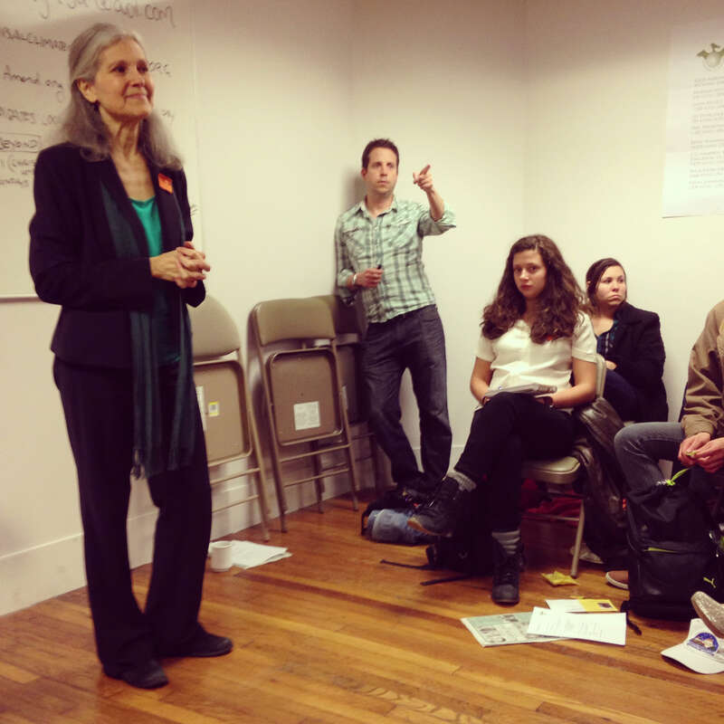Jill Stein - Green Party of Louisiana 2014 Convention, New Orleans.
