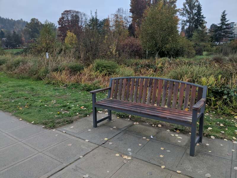 GLEN MCGARVIE
1915 - 2006
WHISTLING-IN THE SUN
SINGING IN THE RAIN