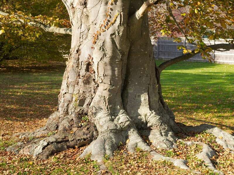 Newport, Rhode Island