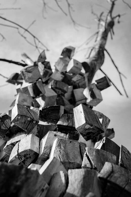 500px provided description: Pixelated Tree [#sculpture ,#vermont ,#stowe]