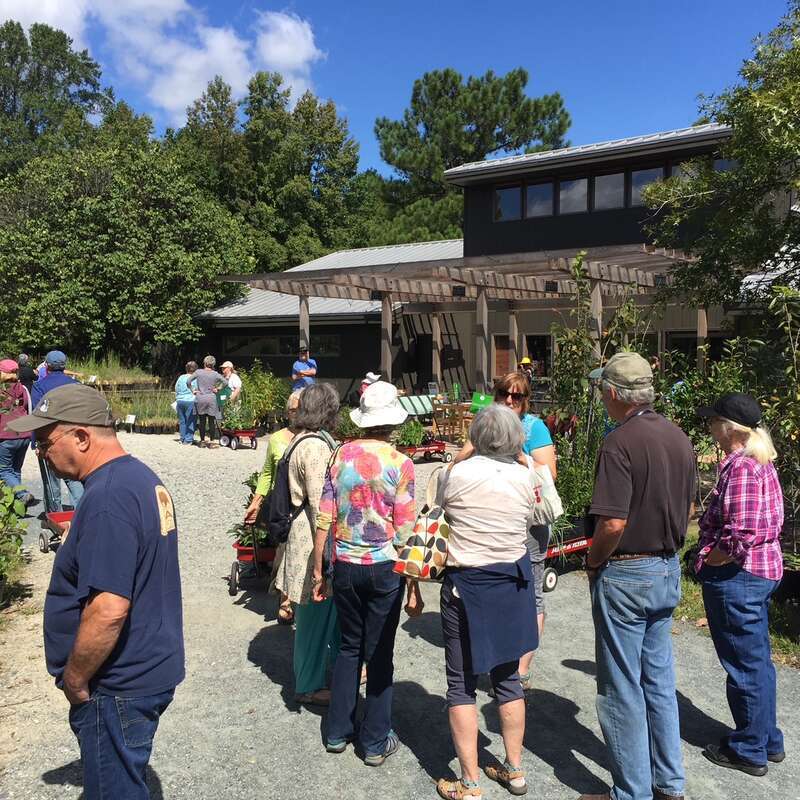 Plant sale at Adkins