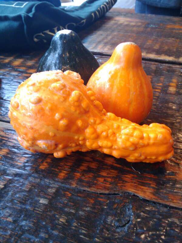 &amp;lt;a href=&quot;http://www.thestrandsmokehouse.com/&quot; rel=&quot;nofollow&quot;&amp;gt;The Strand Smokehouse&amp;lt;/a&amp;gt;
25-27 Broadway

Astoria, NY 11106