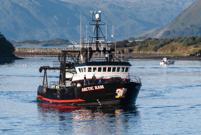 Commercial stern trawler, ARCTIC RAM - IMO 7829120, coming in to unload at the Trident Seafoods dock in Kodiak, Alaska on September 5, 2018. 
Arctic Ram is a Trident Seafoods fleet boat for catching Alaska pollock and Pacific cod in the Bering Sea