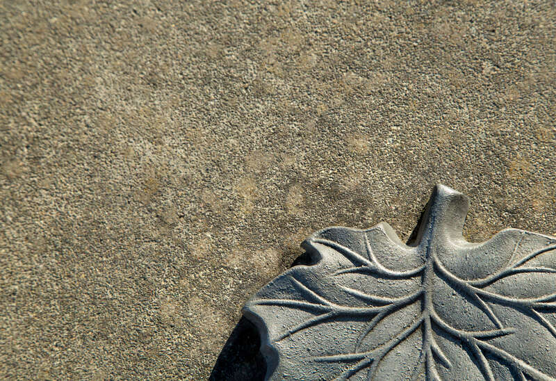 I found these life sized leaf sculptures scattered on the low walls around the library in Mt. Angel. I thought they were a nice compromise to all the gold, orange, and red leaves of fall.