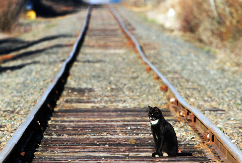 Happy Bokeh Wednesday, everyone.