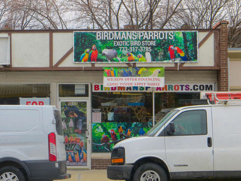 Offering financing on parrots...hmmm...is the interest tax deductable?