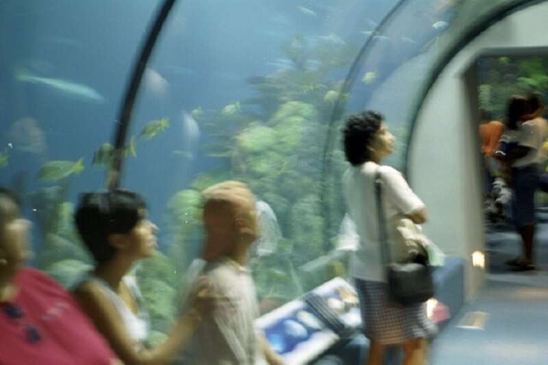 Looking through the glass