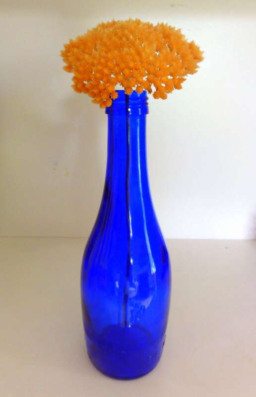 BLUE BOTTLE &amp;amp; NO NAME DRIED BLOOM