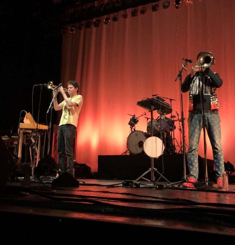 Beirut performing at the Wiltern Theatre in Los Angeles in 2019