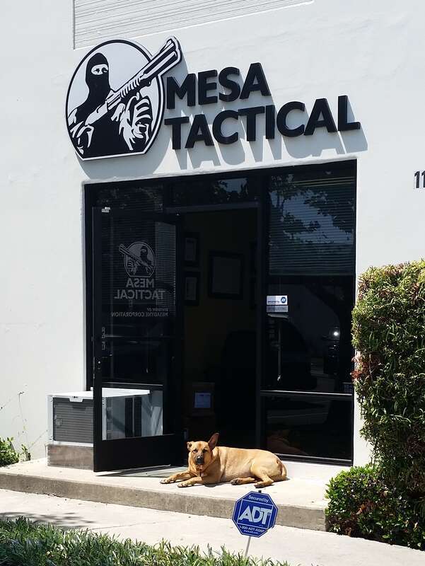 She likes to lay in the sun at the office during the day.  Usually she's out on the loading dock, but sometimes she hangs out on the front porch like this.  If she needs to do her business, she just trots out onto the lawn in front of the