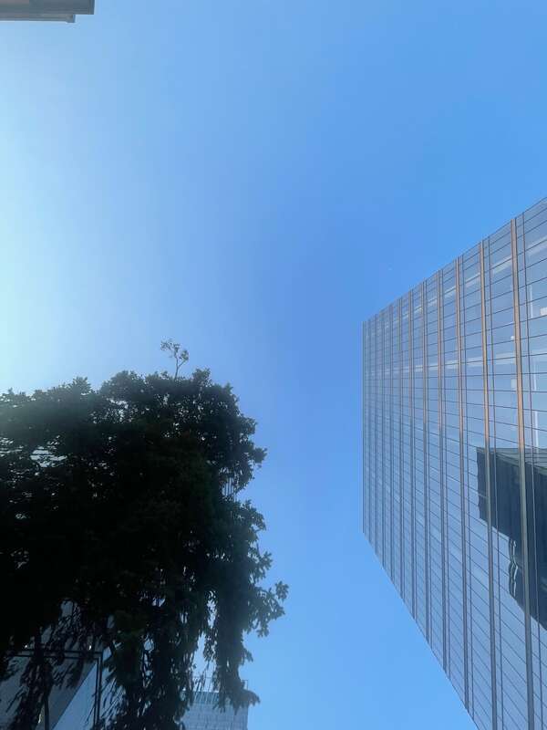 Bellevue, Washington, skyline from a worm's-eye view on 108th Avenue NE