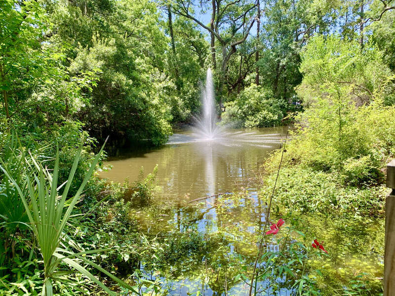 The Xeriscape Garden, located at the Town of Hilton Head Island Government Offices off Wexford Drive, provides a unique open space for residents and visitors. It is a great demonstration of gardening with little supplemental watering.