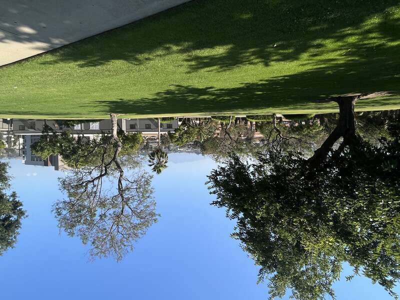 Bicknell Park, Montebello (July 2023).