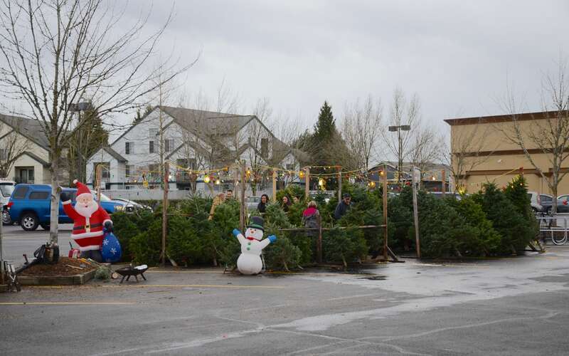 A Christmas tree lot in Hillsboro, Oregon, in the parking lot of an Albertsons-anchored shopping center at the intersection of Cornelius Pass Road and Baseline Road.