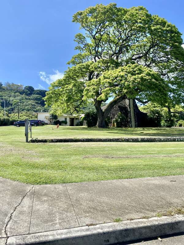 Built in 1965, this modernist church was designed by Wong and Wong to house the congregation of the Community Church of Honolulu.  The church traces its origins to 1934, when it was known as the Keeaumoku Church of Christ, and was located on Emma