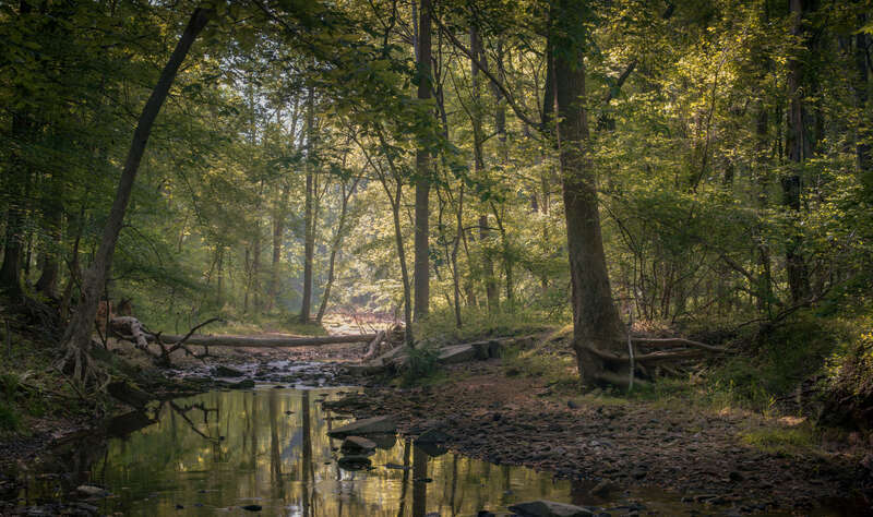 After a swing and a miss trying someplace different yesterday, I decided to bum around Croydon Creek again today with some more old glass.
