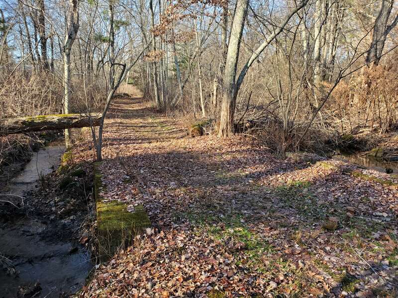 A culvert on the Arkwright Riverwalk seen in December 2023