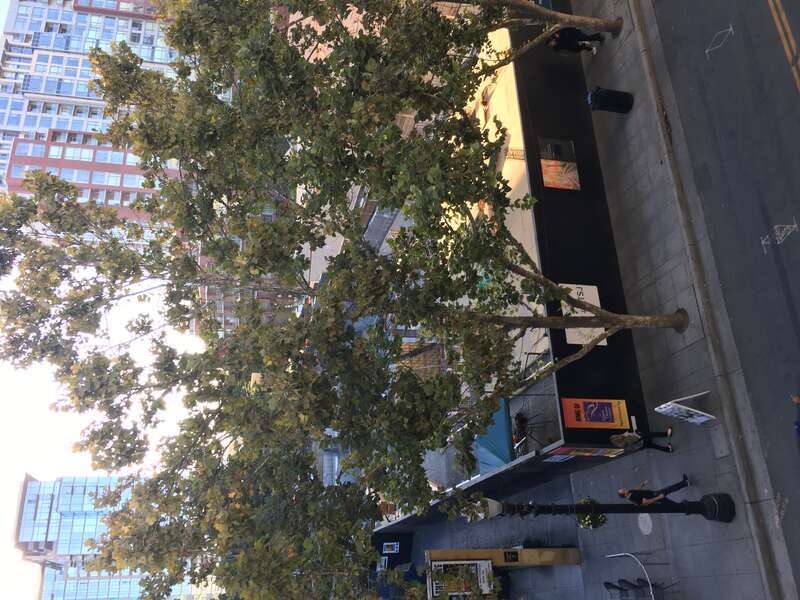 Downtown San Jose, California