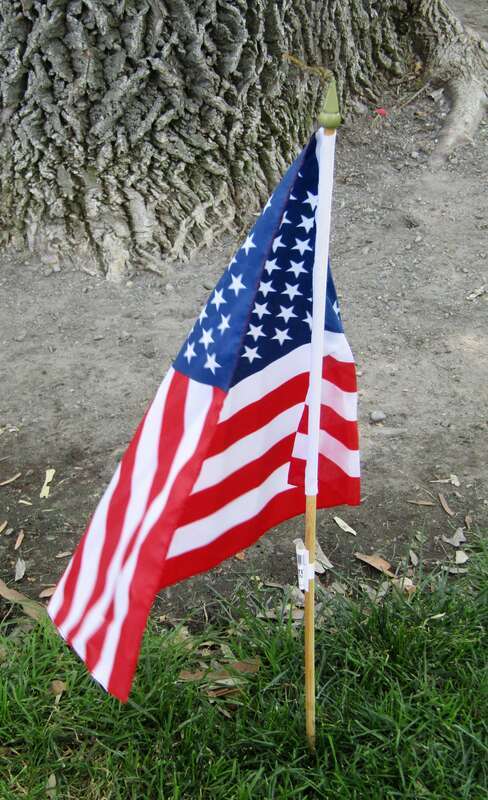 A dragonfly on a small American flag in North Park, Provo, Utah.