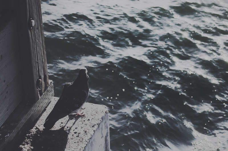 500px provided description: Dsc 3591 Jpg [#landscape ,#city ,#night ,#architecture ,#lights ,#fashion ,#conceptual ,#long exposure ,#sf ,#bay ,#area ,#city lights ,#urbex ,#explore ,#urban explore ,#bay area]