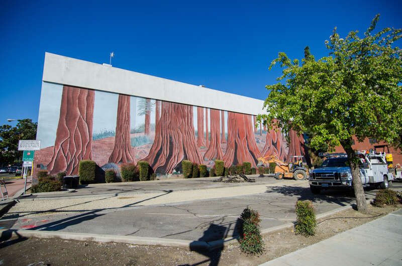 Seen in the film Ken Park.

moviemaps.org/locations/6j9