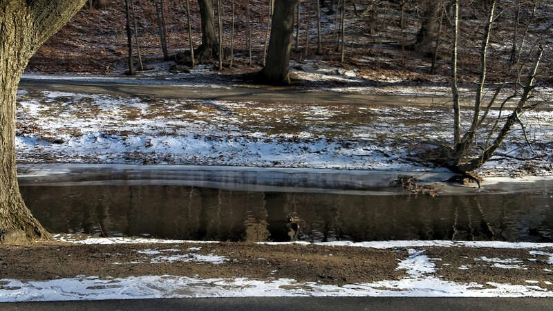 Emerald Path (Winter)