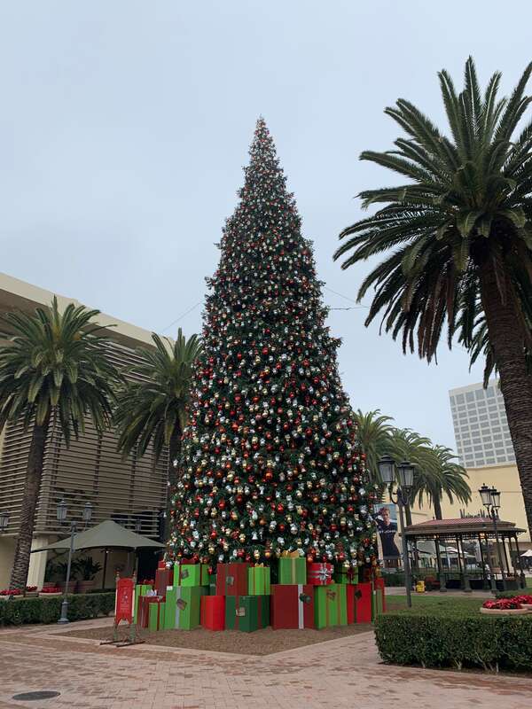 The 90-foot white fir tree decorated with 20,000 lights and ornaments at Fashion Island, Newport Beach, CA.