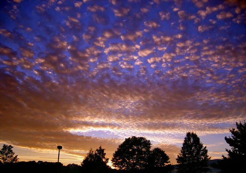 Altocumulus (or possibly cirrocumulus) clouds at dusk.