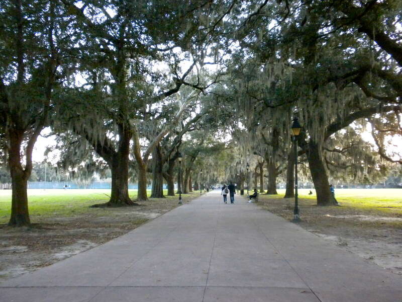 Taken looking south from Forsythe Park Fountain