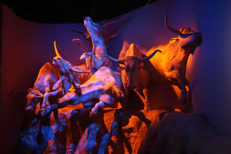 The Cowboys and Longhorns exhibit at Frontier Texas! in Abilene, Texas (United States).