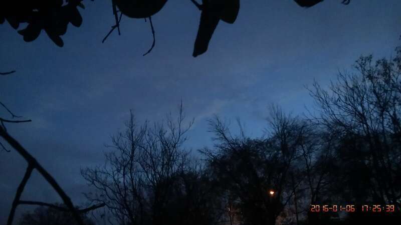 Garvey, Rosemead, CA, USA