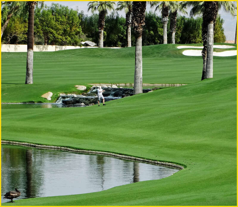 (1 in a multiple picture set)
This is why many people come to or live in the Palm Springs area.  This is at the Desert Springs Marriott.