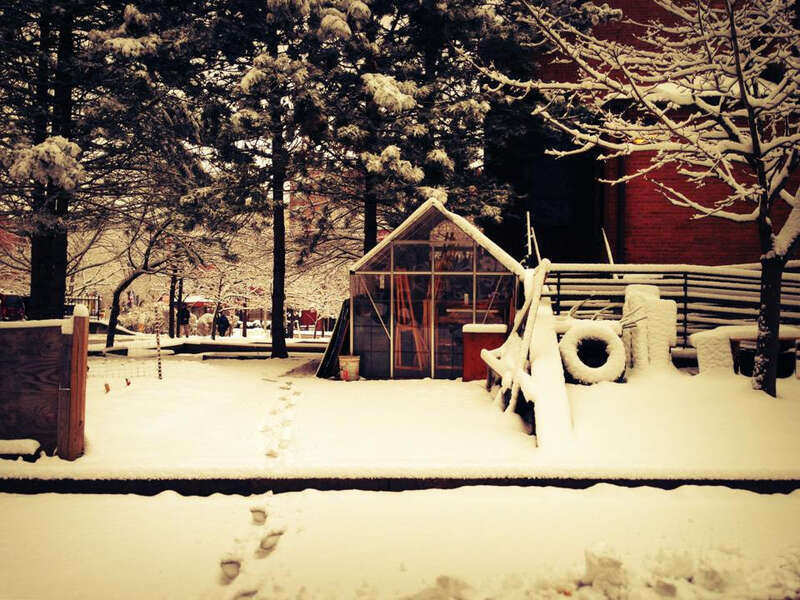 500px provided description: Into Snow [#snow]